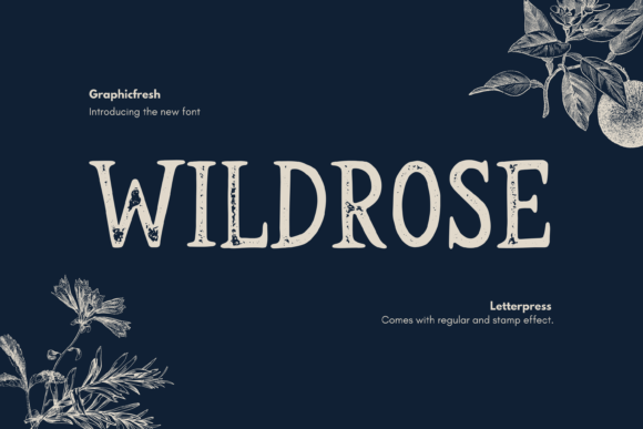 Wildrose: A Vintage Serif Font Review for Branding